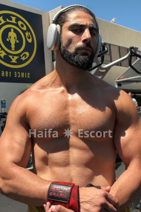 Assad S
